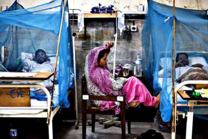 Dengue Outbreak in Pakistan Symptoms Cure Prevention