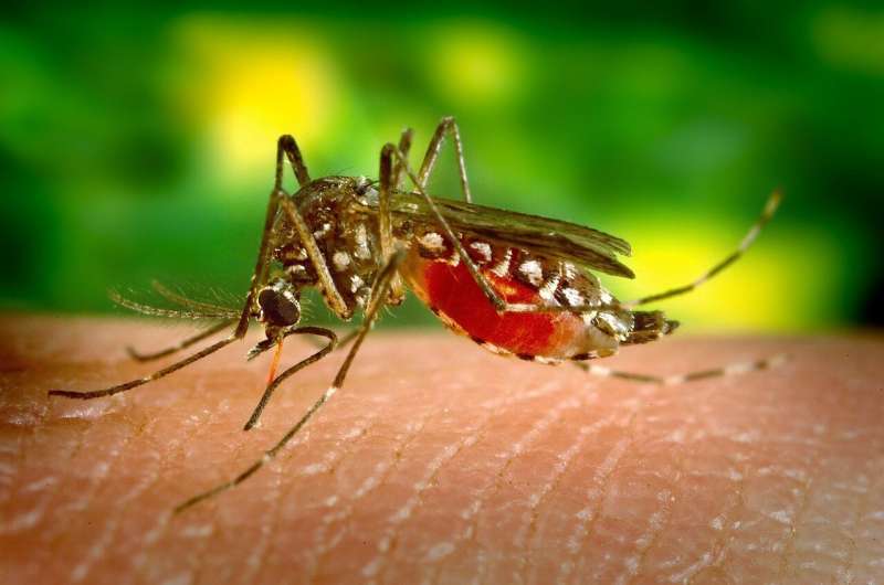 By 2040, malaria may be completely eradicated thanks to a new vaccine.